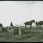 A team of cart horses and a hoist lifting the cotton bales up the cliff during the salvage operation from the Eider. Some of the bales appear to be larger than the 450lbs. The plate has a J. Dore sticker on it. The Eider was carrying maize, cotton, gold, silver and mail when she ran aground on Atherfield Ledge on 31st January 1892. Salvage continued until 29th March when she was towed to Southampton