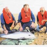 Coastguard with dolphin